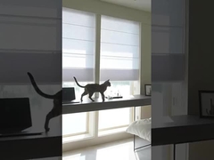 100% Polyester Blackout Roller Blinds Römisches Gewebe für Fensterbehandlung