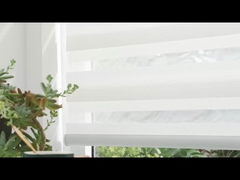 Zebra macht Gewebe blind